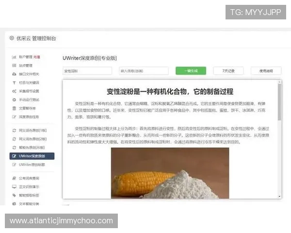 BV体育官方网站客户服务与技术支持全攻略，确保用户在使用过程中获得及时帮助